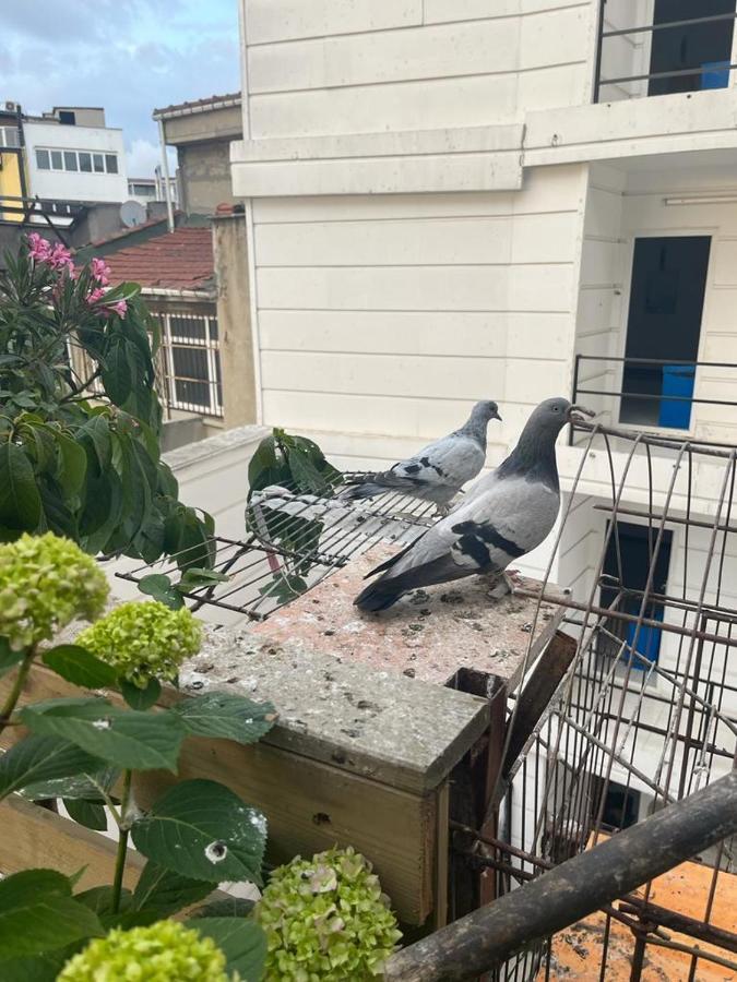 Central Apartment Kadikoy Terrace Bbq Close 2 Block Ferry Bull Metro Nighlife Istanbul Luaran gambar