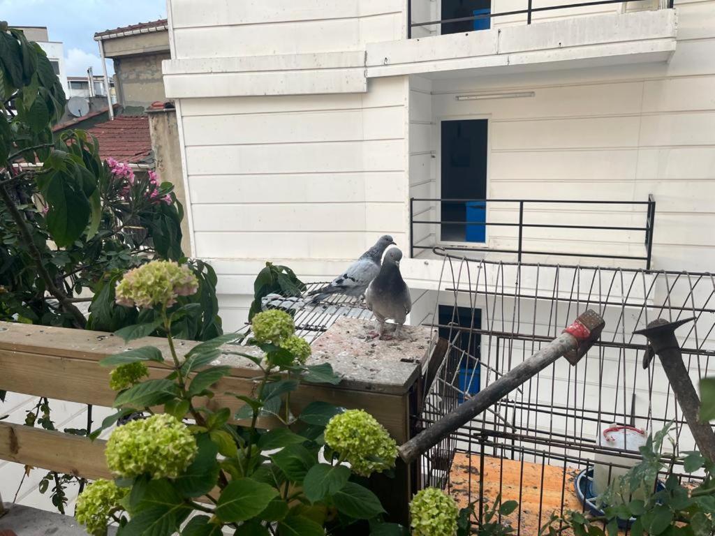 Central Apartment Kadikoy Terrace Bbq Close 2 Block Ferry Bull Metro Nighlife Istanbul Luaran gambar